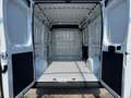 Fiat Ducato 35 2.2 Mjt 140CV PM-TM Furgone Bianco - thumbnail 15