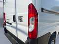 Fiat Ducato 35 2.2 Mjt 140CV PM-TM Furgone Bianco - thumbnail 7