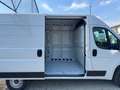 Fiat Ducato 35 2.2 Mjt 140CV PM-TM Furgone Alb - thumbnail 16