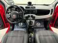 Fiat Panda 1200 CROSS GPL UNICOPRIETARIO Rouge - thumbnail 12