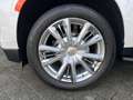 Chevrolet Tahoe 6,2 V8 High Country AHK  22Alu Blanco - thumbnail 19