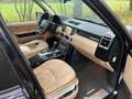 Land Rover Range Rover 3.6 TDV8 HSE Синій - thumbnail 6