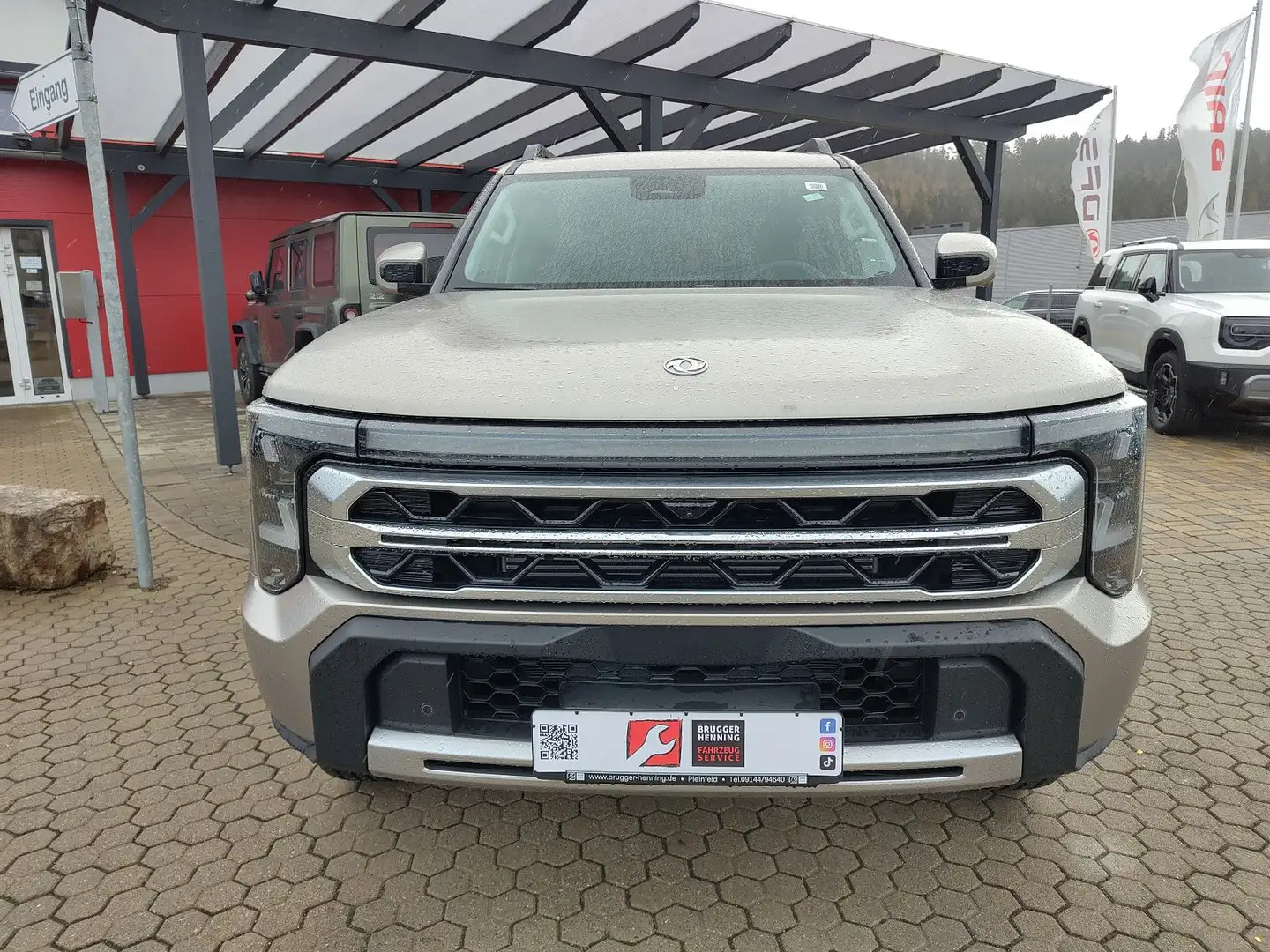 DFSK Sonstige DFM Rich9 Pick Up Beige - 2