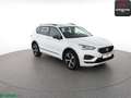 SEAT Tarraco Tarraco 2.0 TDI 4DRIVE FR PANO,STANDHEIZ,ACC,1HD Blanc - thumbnail 7