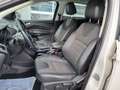 Ford Kuga 2,0 TDCi Titanium 4x4 Aut. Blanc - thumbnail 11