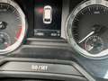 Skoda Octavia Octavia SW 1.6 TDi SCR Ambition Gris - thumbnail 11