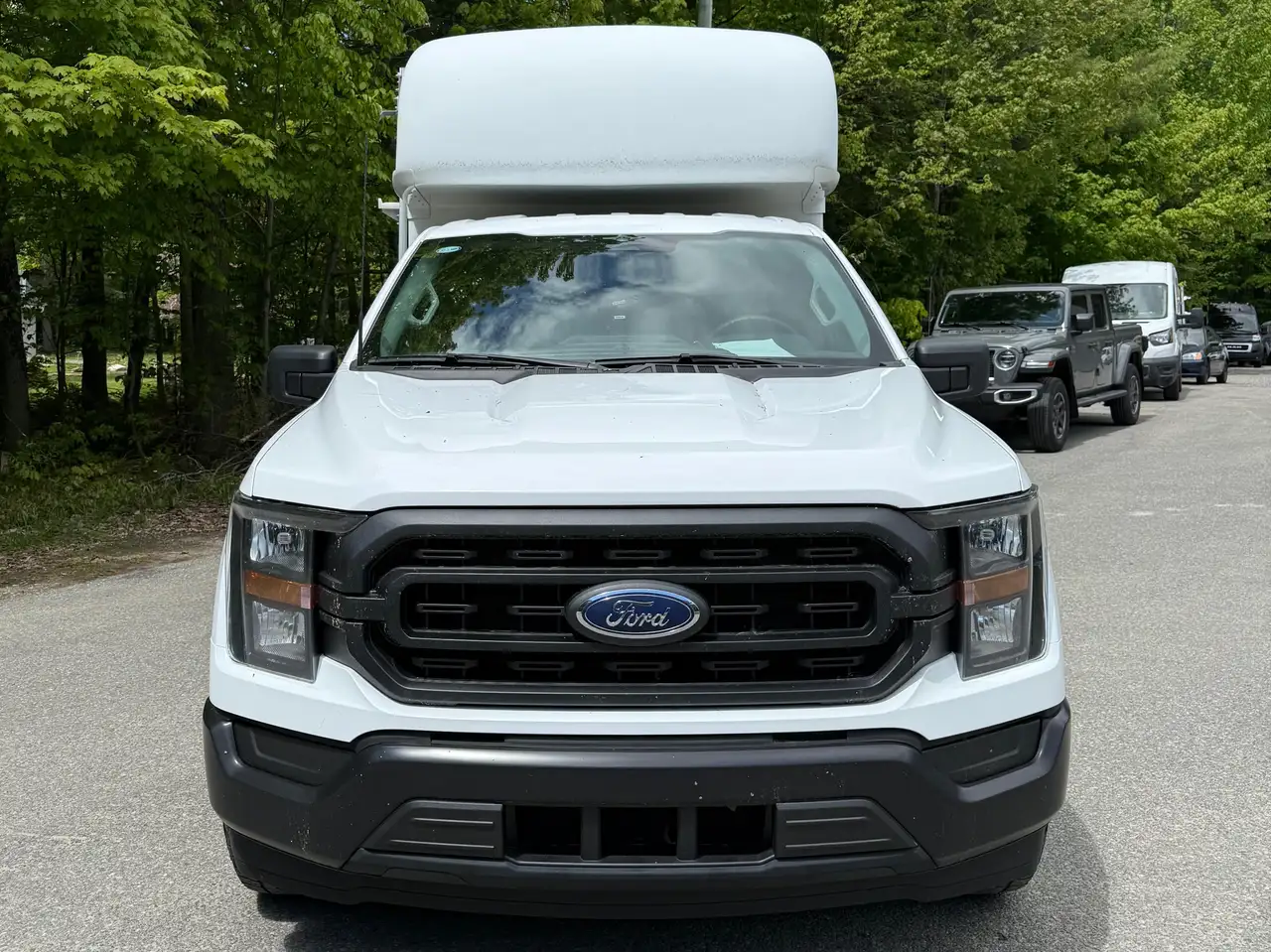 Ford F 150 fotografie Ford F 150