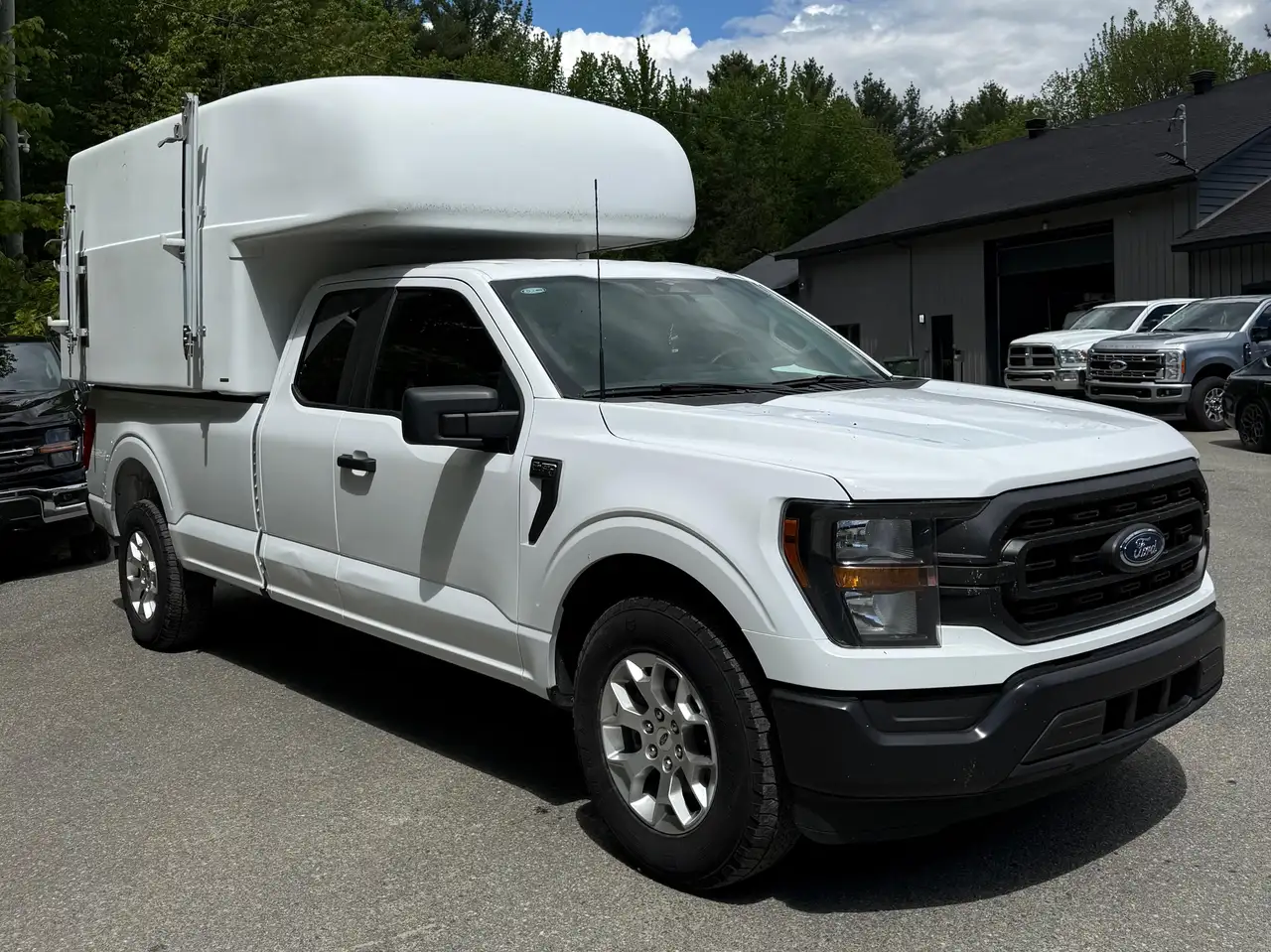 Ford F 150 fotografie Ford F 150