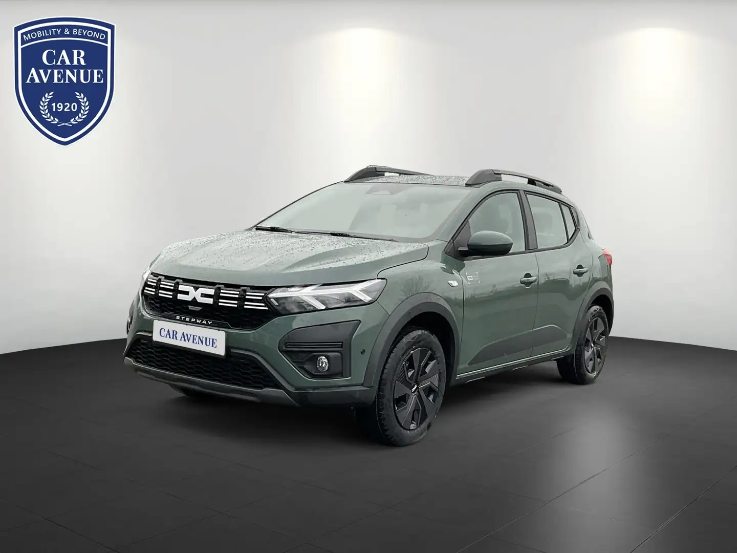 Dacia Sandero Stepway Expression TCe 90 Grün - 1