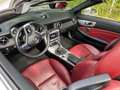 Mercedes-Benz SLK 250 SLK 250 (BlueEFFICIENCY) 7G-TRONIC Argent - thumbnail 4