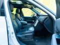 Land Rover Discovery 5 HSE SD4/ 7 PLACES/ 360°/ LED/ PRO Blanc - thumbnail 12