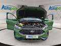 Ford Kuga ST-Line Hybrid ST-Line Grün - thumbnail 9
