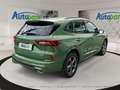 Ford Kuga ST-Line Hybrid ST-Line Grün - thumbnail 8
