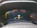 Ford Kuga ST-Line Hybrid ST-Line Grün - thumbnail 15