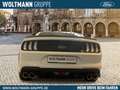 Ford Mustang Mach 1 5.0 Ti-VCT V8 460PS EU6d Recaro Navi B&O Weiß - thumbnail 4