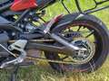 Yamaha Tracer 900 Rouge - thumbnail 11