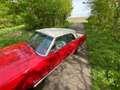 Ford Mustang 302 Convertible Rojo - thumbnail 20