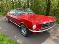 Ford Mustang 302 Convertible Rojo - thumbnail 4