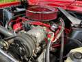 Ford Mustang 302 Convertible Rojo - thumbnail 25
