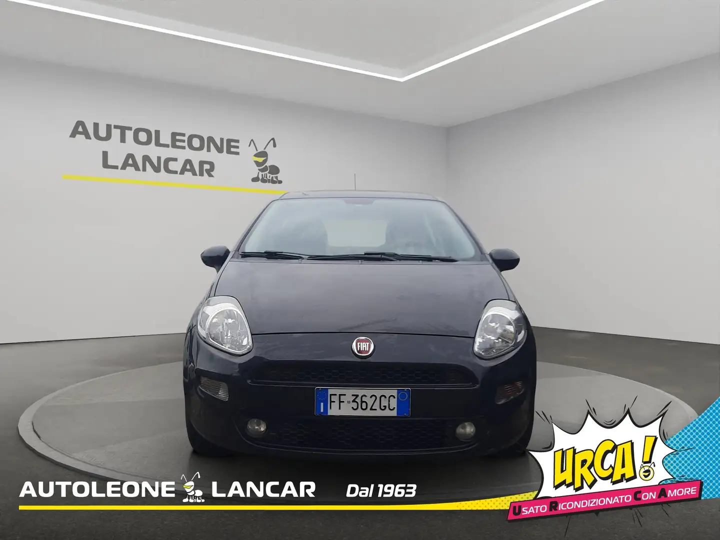 Fiat Punto 5p 1.2 Street 69cv OK NEOPATENTATI E6 Noir - 2