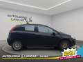 Fiat Punto 5p 1.2 Street 69cv OK NEOPATENTATI E6 Noir - thumbnail 8