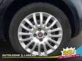 Fiat Punto 5p 1.2 Street 69cv OK NEOPATENTATI E6 Noir - thumbnail 14