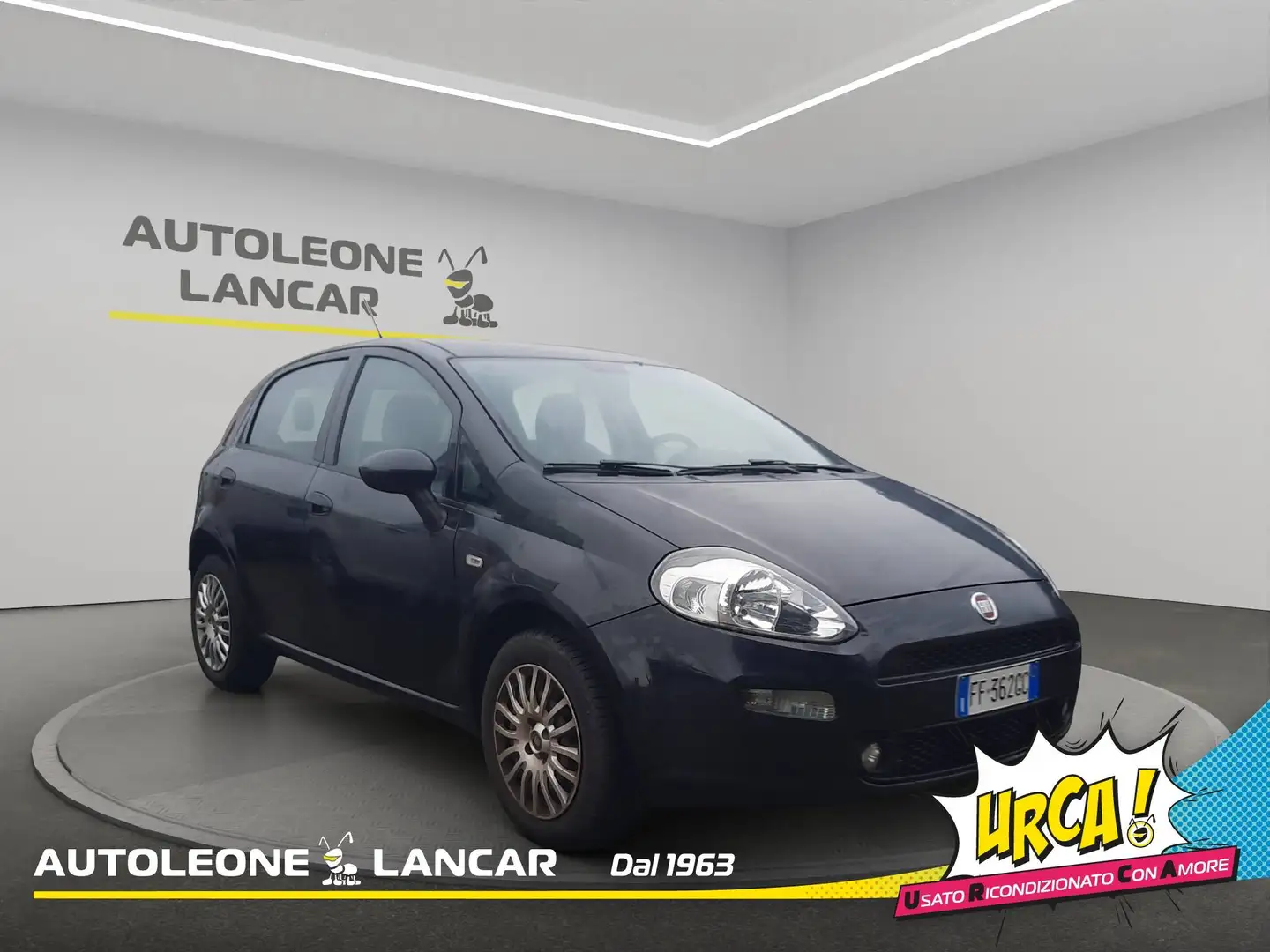 Fiat Punto 5p 1.2 Street 69cv OK NEOPATENTATI E6 Noir - 1
