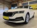 Skoda Octavia DSG LED VIRTUAL COCKPIT HEAD-UP STANDHEIZUNG AHK Weiß - thumbnail 4
