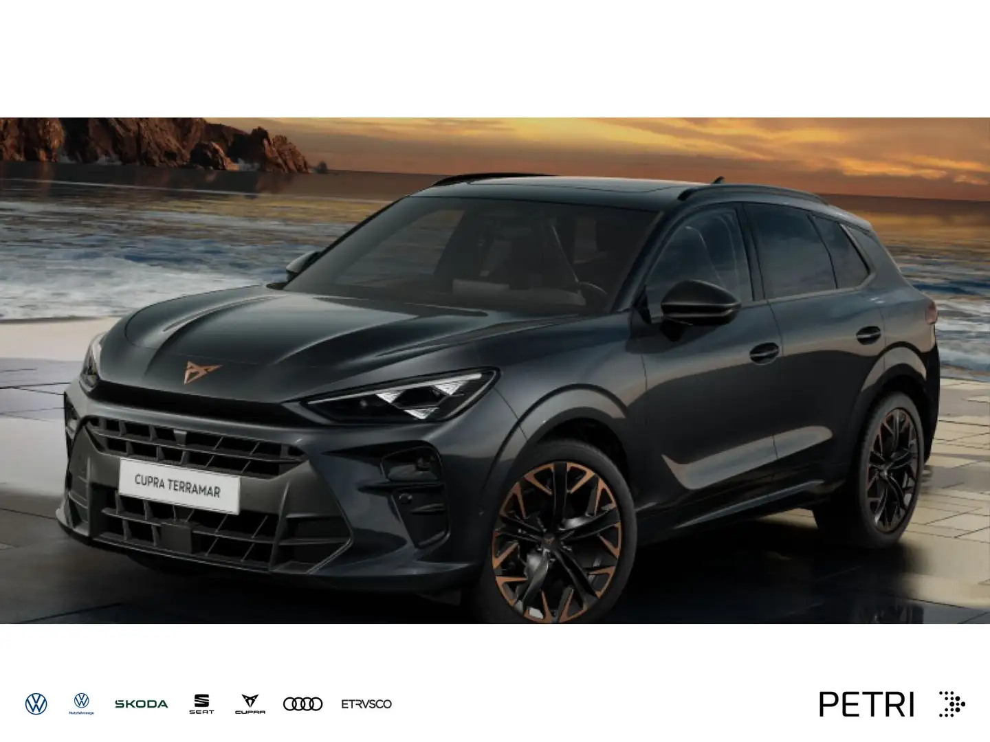 CUPRA Terramar VZ 2.0 TSI 195 kW *Matrix*StdH*Sennheis Grijs - 1