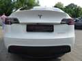 Tesla Model Y Dual AWD Long Range Wärmepumpe/Pano/393KW Weiß - thumbnail 14
