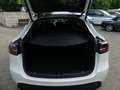 Tesla Model Y Dual AWD Long Range Wärmepumpe/Pano/393KW Weiß - thumbnail 19