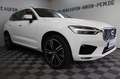 Volvo XC60 R Design AWD AHK ACC Pano LKHZ 21Zoll Weiß - thumbnail 3