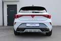 CUPRA Leon 1.5 TSI 150 PS ACT mit perfekten Extras! Weiß - thumbnail 5