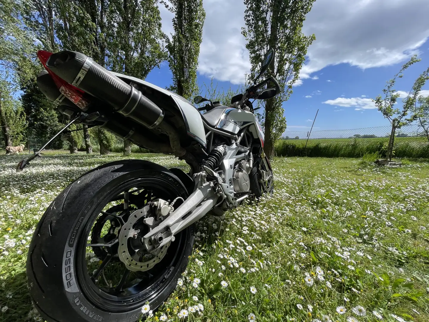 Aprilia Dorsoduro - 1