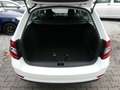 Skoda Octavia 2.0 TDI Style DSG | ACC | PDC | SHZ |AHK Weiß - thumbnail 13