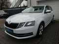 Skoda Octavia 2.0 TDI Style DSG | ACC | PDC | SHZ |AHK Weiß - thumbnail 2