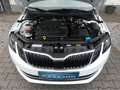 Skoda Octavia 2.0 TDI Style DSG | ACC | PDC | SHZ |AHK Weiß - thumbnail 14