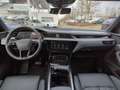 Audi e-tron Bang & Olufsen Pano Matrix Braun - thumbnail 6