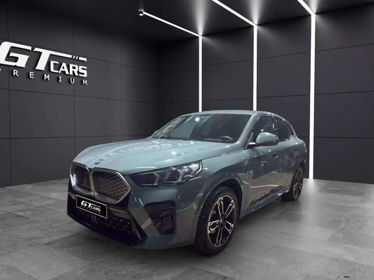 BMW iX2 eDrive20A Verde - 1