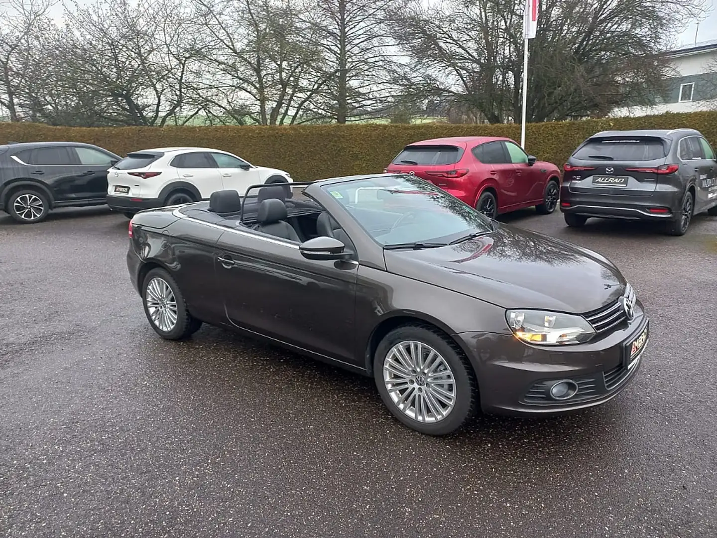 Volkswagen Eos CABRIO 1,4 TSI BMT Braun - 1