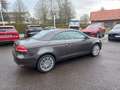 Volkswagen Eos CABRIO 1,4 TSI BMT Braun - thumbnail 5