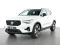 Volvo XC40 Plus Dark B4 20''LM Pano 360kam AHK Harman ACC BLI Weiß - thumbnail 1