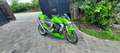 Kawasaki Z 1000 Zöld - thumbnail 5