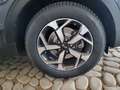 Kia Sportage Sportage 1.6 ecogpl Business Class 2wd 132cv Grau - thumbnail 5