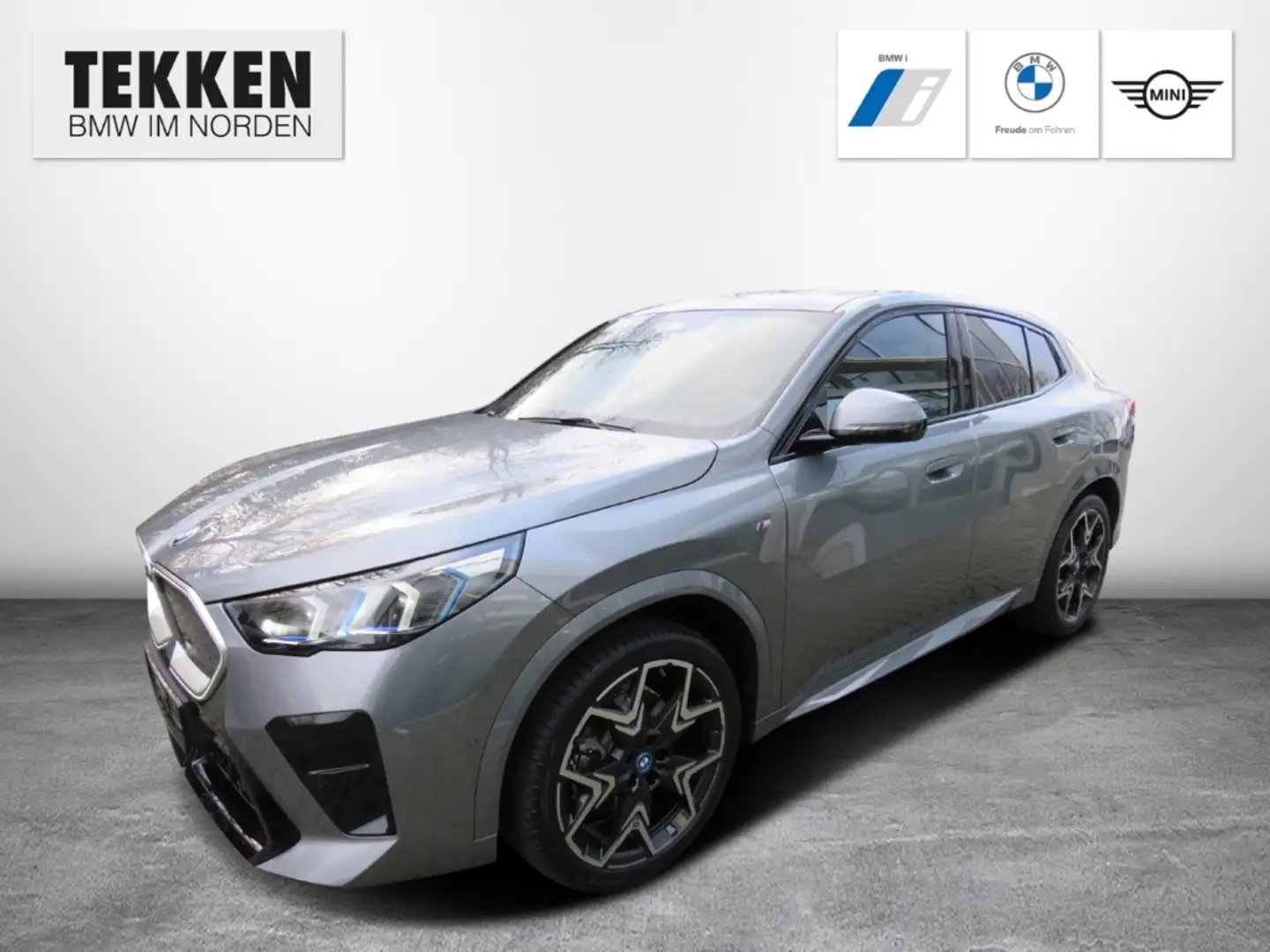 BMW X2 xDrive30 M Sport Komfortzg. Head Up AHK Sportpaket Grau - 1