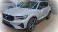 Volvo XC40 B4 P. Dark PILOT LEDER PIXEL NAVI 360° PANO Silber - thumbnail 1
