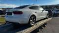 Audi A5 SB 2,0 TDI Aut. Weiß - thumbnail 5