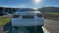 Audi A5 SB 2,0 TDI Aut. Weiß - thumbnail 4