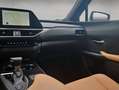 Lexus UX 250h 250h F-Sport Design Grün - thumbnail 12