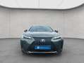 Lexus UX 250h 250h F-Sport Design Grün - thumbnail 8